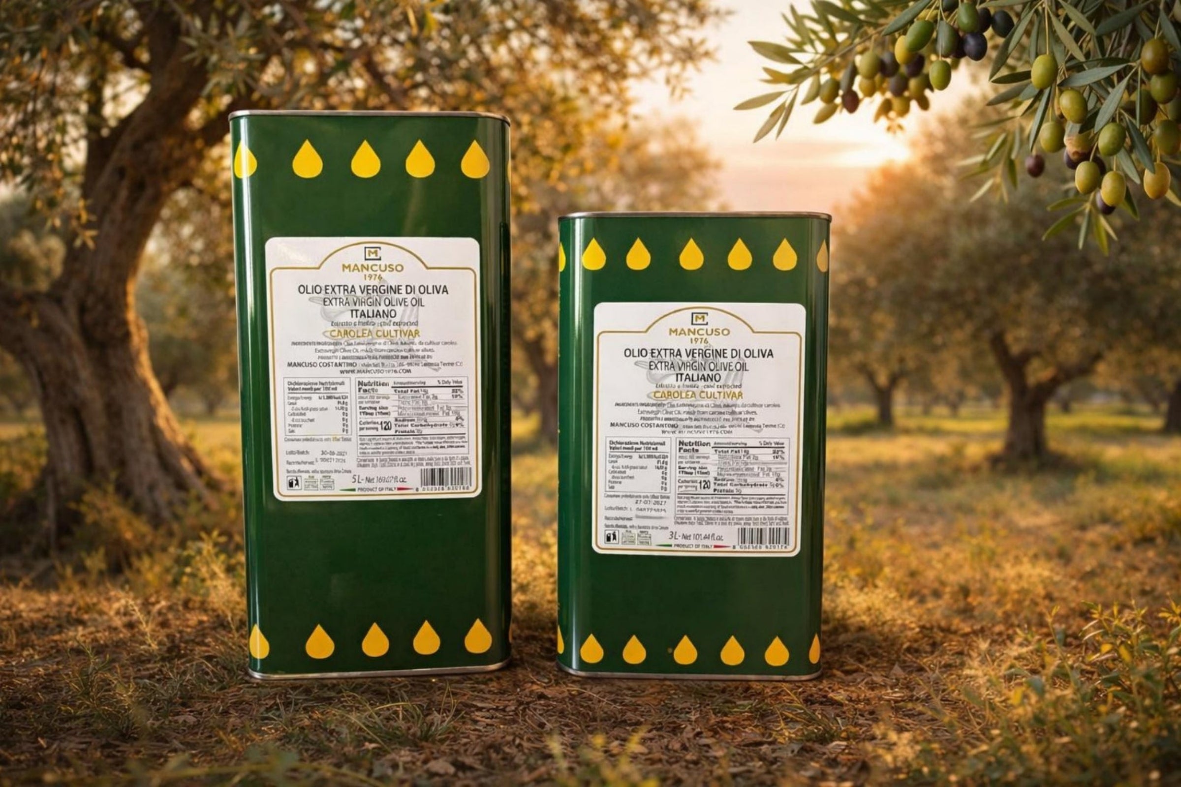 Olio extravergine d'oliva Cultivar Carole   
